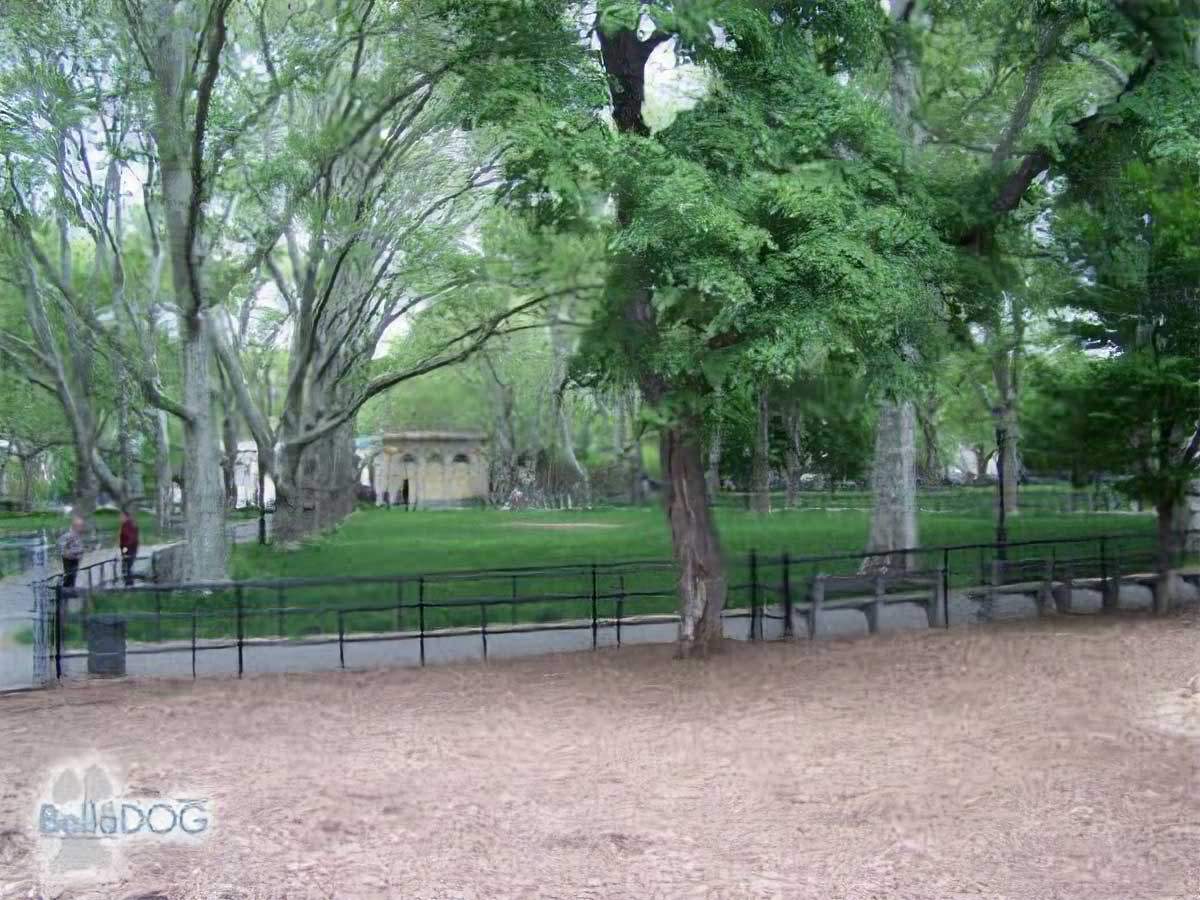 A NYC dog park
