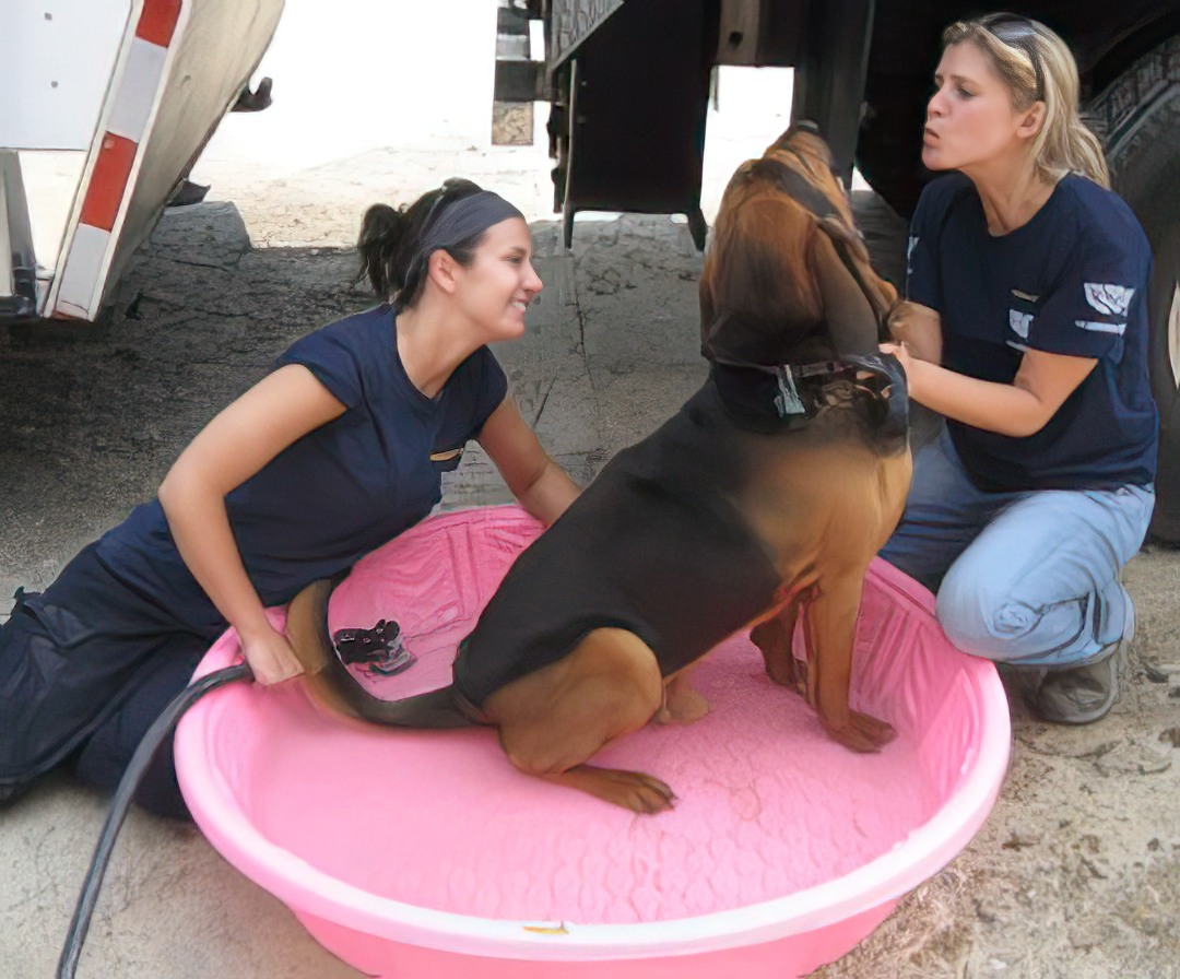 A couple of women petting a dog in a pink tub
