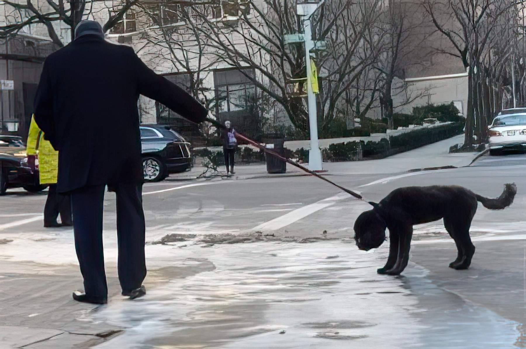 A person in a black suit holding a black dog on a leash